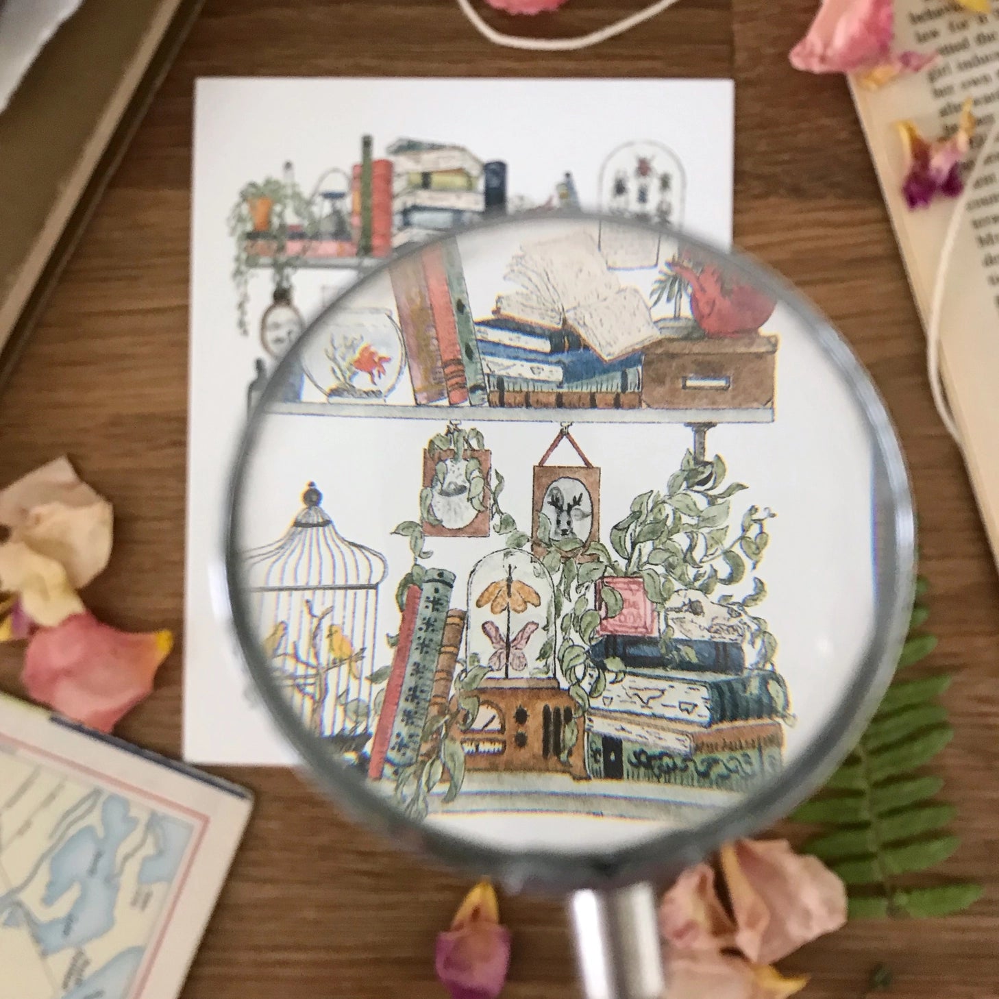 Postcard featuring my original watercolor and ink illustration of the vintage oddities and books tucked away in the shelves of a biologist. A goldfish, canaries, a vintage radio, and pictures of Sasquatch and Nessie are just a few of the details you'll find hidden in this painting!

• Printed on high quality card stock
• Each postcard measures 4.25 x 5.5" (A2)