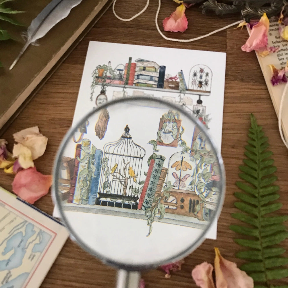Postcard featuring my original watercolor and ink illustration of the vintage oddities and books tucked away in the shelves of a biologist. A goldfish, canaries, a vintage radio, and pictures of Sasquatch and Nessie are just a few of the details you'll find hidden in this painting!

• Printed on high quality card stock
• Each postcard measures 4.25 x 5.5" (A2)