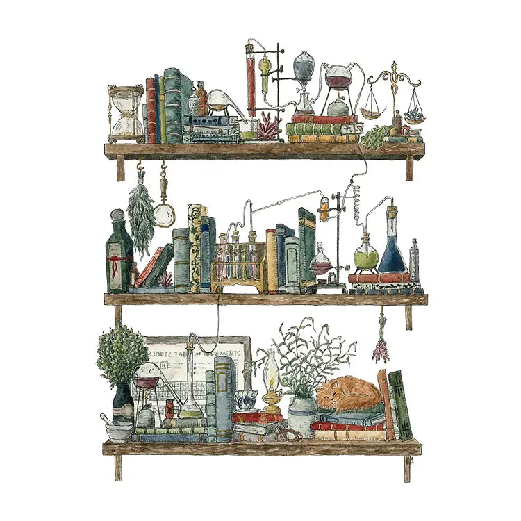 Postcard featuring my original watercolor and ink illustration of the vintage oddities and books tucked away in the shelves of a chemist, including Schrödinger's cat!

• Printed on high quality card stock
• Each postcard measures 4.25 x 5.5" (A2)