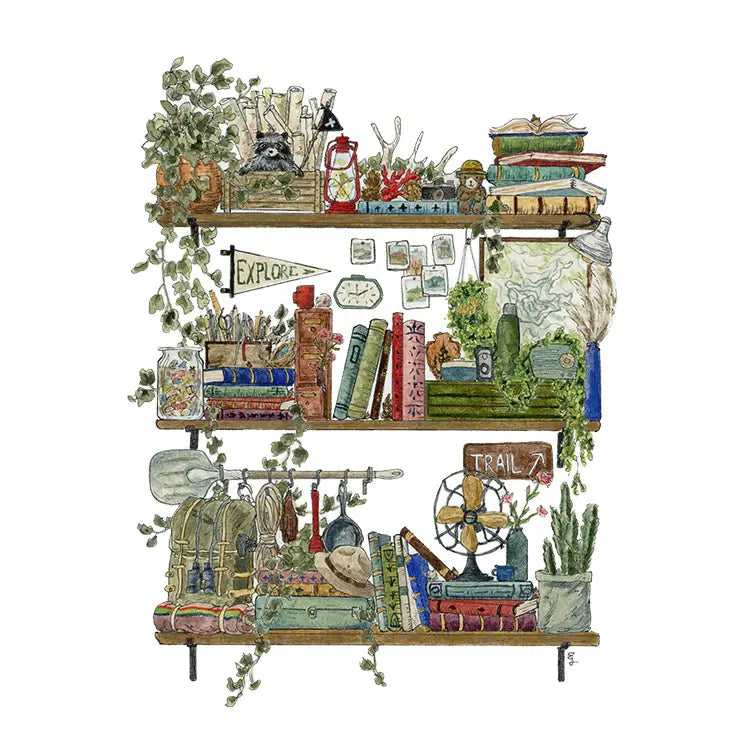 Postcard featuring my original watercolor and ink illustration of the vintage oddities, books, tools, and acorns tucked away in the shelves of a park ranger, including an inquisitive raccoon.