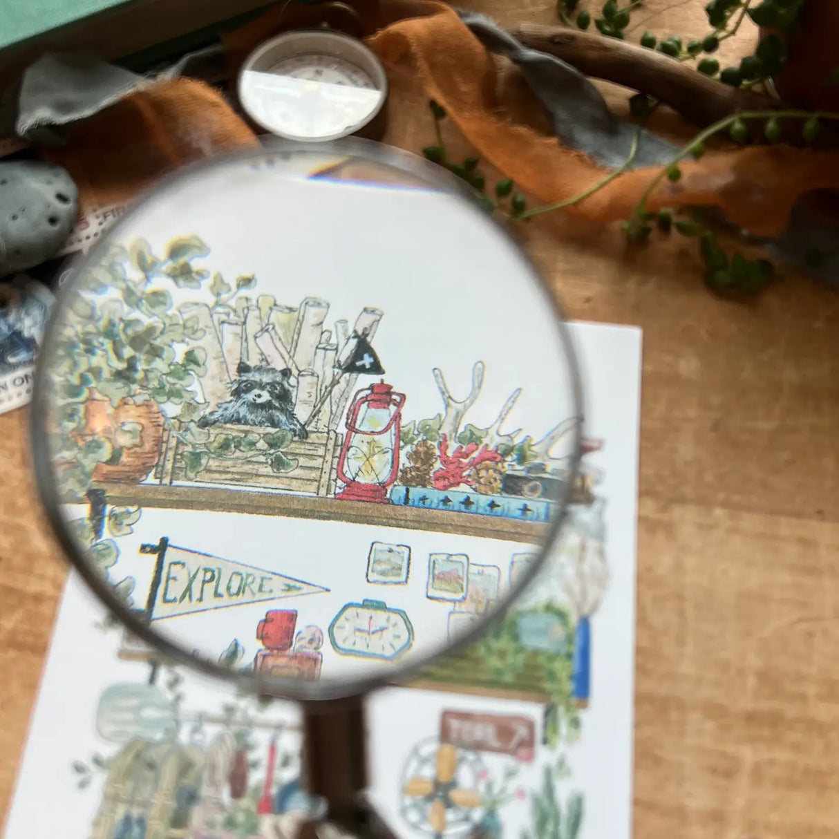 Postcard featuring my original watercolor and ink illustration of the vintage oddities, books, tools, and acorns tucked away in the shelves of a park ranger, including an inquisitive raccoon.