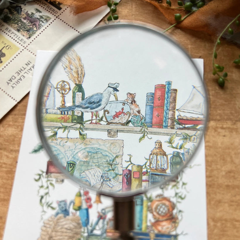 Postcard featuring my original watercolor and ink illustration of the oddities, books, and tools tucked away in the shelves of a vintage sailor, including an inquisitive seagull in a captain’s hat, a diving helmet, and a message in a bottle.

• Printed on high quality card stock
• Each postcard measures 4.25 x 5.5" (A2)