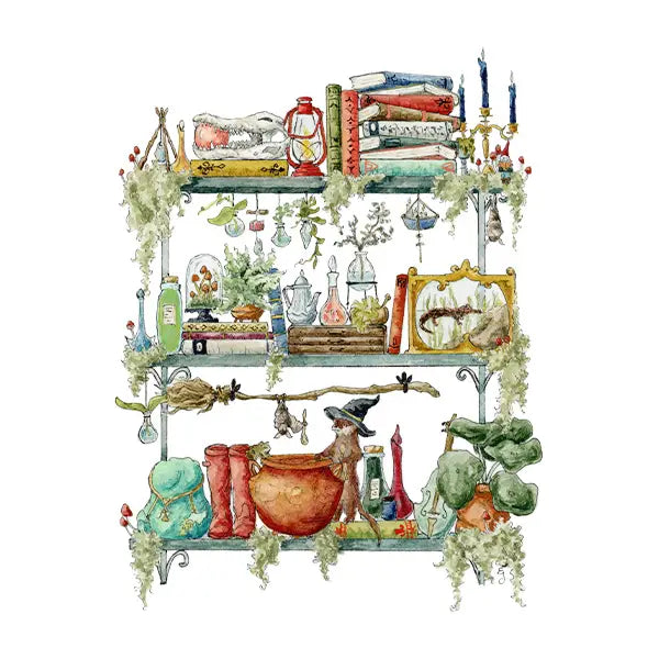 Postcard featuring my original watercolor and ink illustration of the oddities, books, tools, and trinkets tucked away in the shelves of a swamp witch, including an assortment of creatures brewing up a potion, and an alligator skull holding a crystal ball.