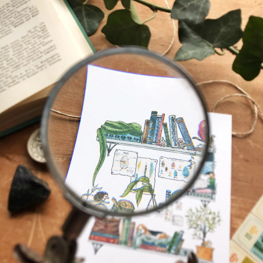Postcard featuring my original watercolor and ink illustration of the vintage oddities and books tucked away in the shelves of a vet, including an opinionated parrot, a friendly turtle, and a napping beagle puppy.