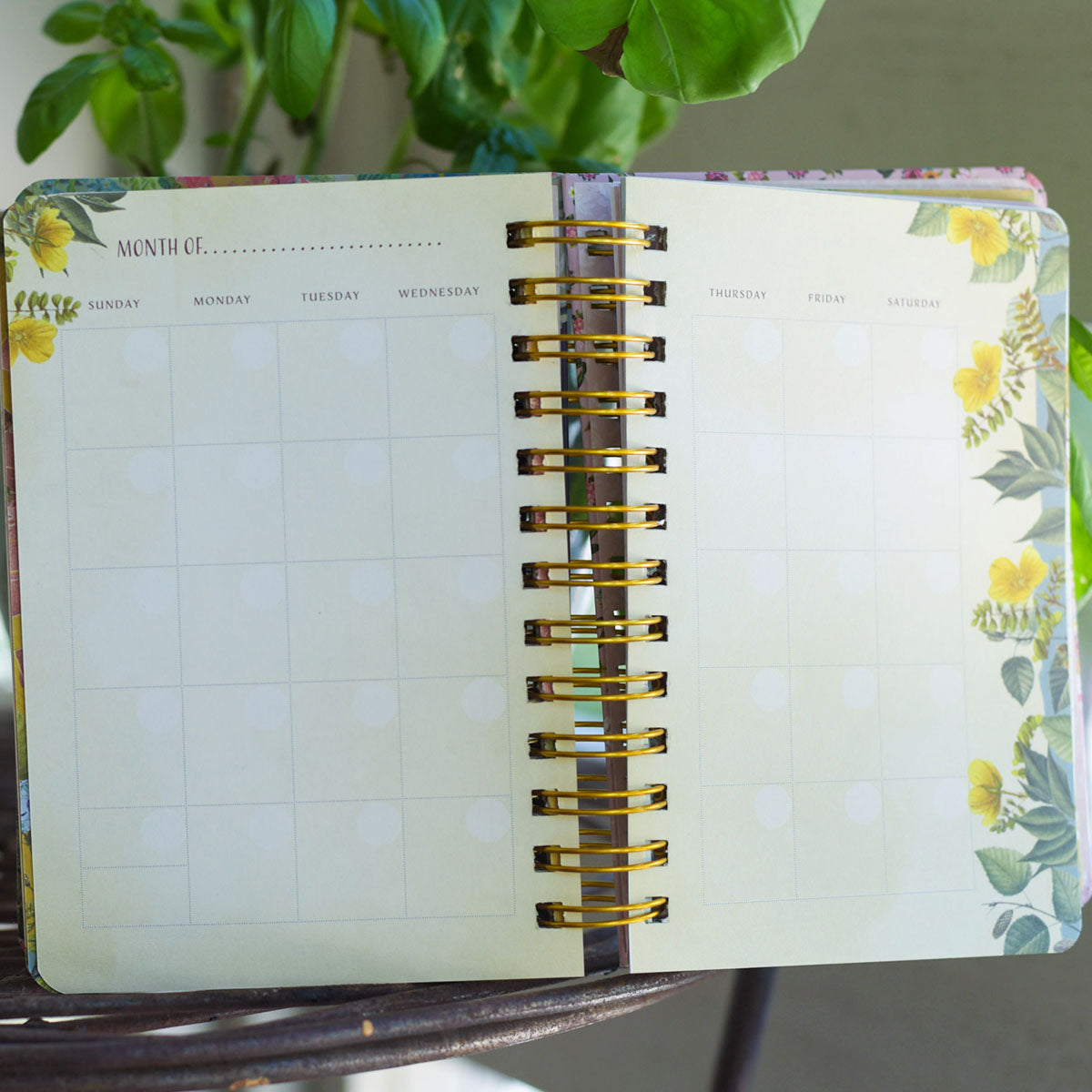 Look For the Magic Undated Planner