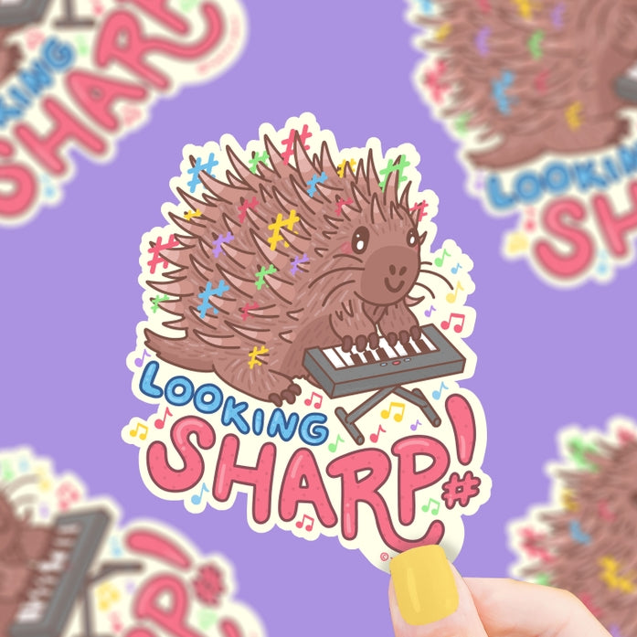 Looking Sharp Porcupine Vinyl Sticker