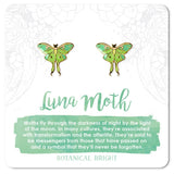 Luna Moth Stud Earrings Gold