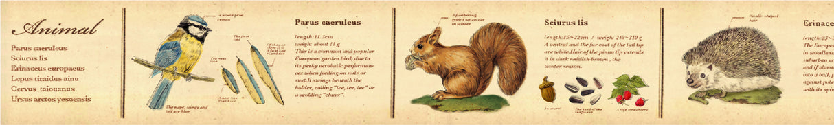 MT ex Washi Tape - Encyclopedia Animal