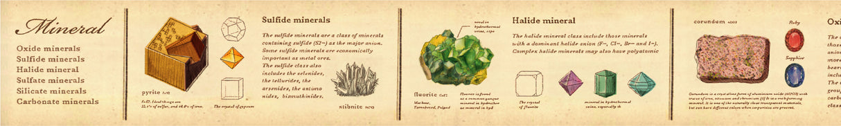 MT ex Washi Tape - Mineral