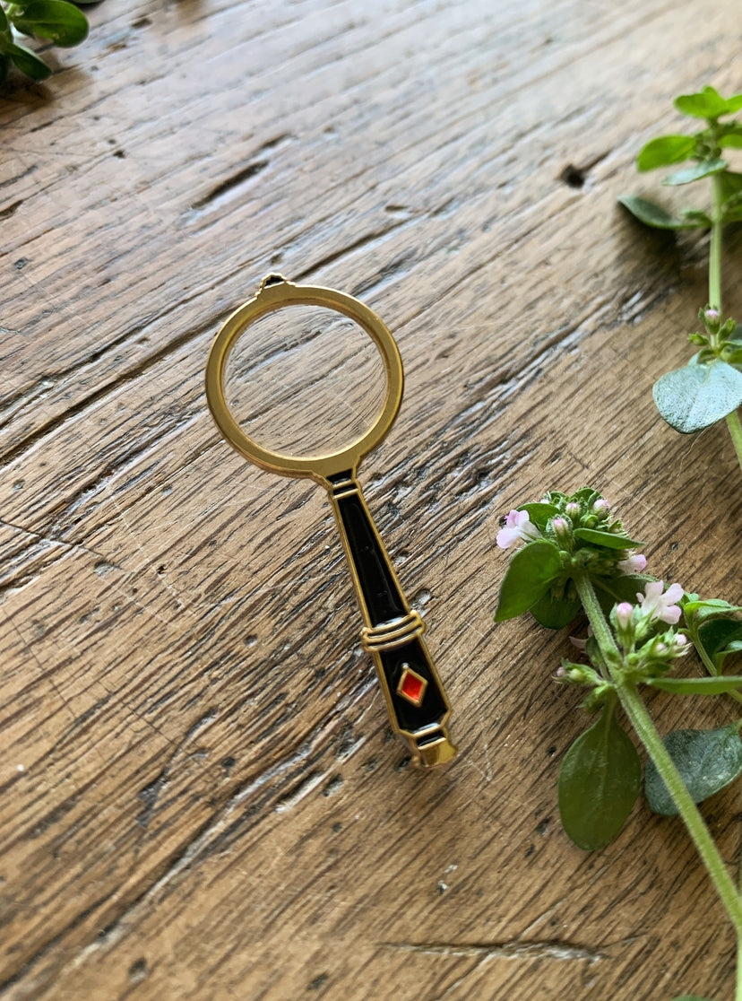 Pin And Magnifying Glass Magnifying Glass Modern Design Isolated