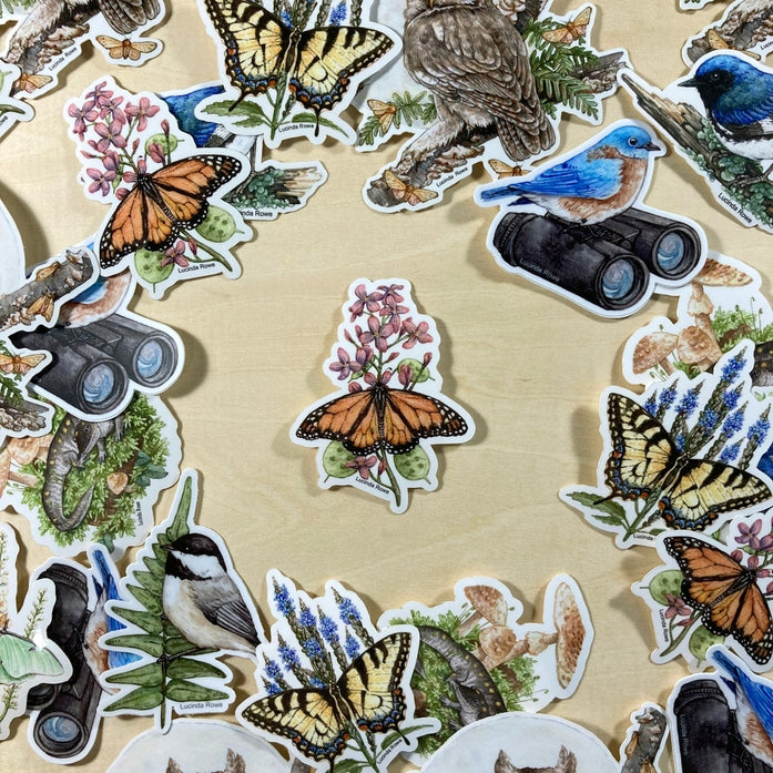 Monarch Butterfly On Honesty Vinyl Sticker – Little Craft Place