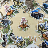 Monarch Butterfly On Honesty Vinyl Sticker