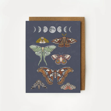 Moonlit Moths Everyday Boxed Card Set of 8
