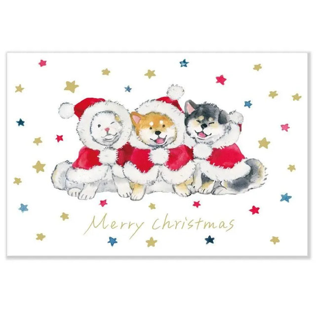 Natsuka Murata - Three Puppies Christmas Postcard

The dogs enjoying Christmas are adorable! This is a watercolor postcard by popular illustrator Natsuka Murata.&nbsp;These are warm postcards brighten up your Christmas atmosphere.

Size: 148×100 mm

Material: Paper / Gold Leaf