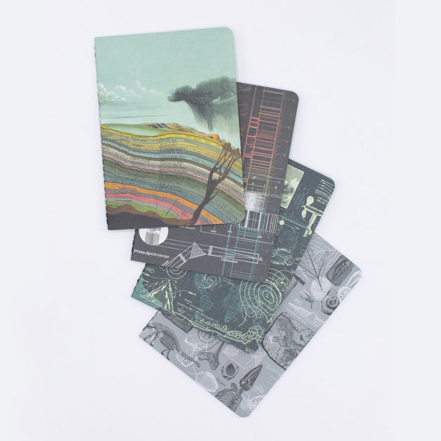 Natural History Pocket Notebooks 4-pack
