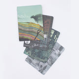 Natural History Pocket Notebooks 4-pack