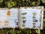 Featuring a gold foil–embossed cloth cover, a ribbon marker, and sprayed gold edges, this gorgeous volume is filled with colorful sketches and precise notes detailing the secret life of fairies and their important role in the natural world.

Inside, you will discover the wide and wonderful array of different species of fairies around the globe and explore where and how they live. Delight in this hidden world as you learn all about:

The anatomy of a fairy (Land-based fairies have individual, separated toes,