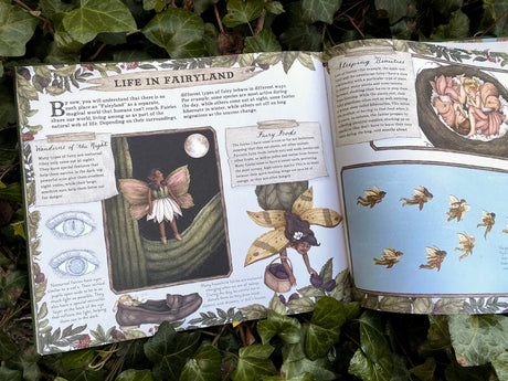 Featuring a gold foil–embossed cloth cover, a ribbon marker, and sprayed gold edges, this gorgeous volume is filled with colorful sketches and precise notes detailing the secret life of fairies and their important role in the natural world.

Inside, you will discover the wide and wonderful array of different species of fairies around the globe and explore where and how they live. Delight in this hidden world as you learn all about:

The anatomy of a fairy (Land-based fairies have individual, separated toes,