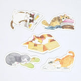 Nekorobi Common Cat Flake Stickers

So many cats!! These flake stickers can be used for sealing letters or decorating planners.&nbsp;Put them in cardboard boxes, lie down on top of magazines...... these cats are just like yours at home.&nbsp;I drew a remarkable scene of a cat you can't help but love.

Nekorobi 5th Anniversary


Height 140×Width 63mm

5 Patterns - 20 Sheets

Crepe Paper Stickers