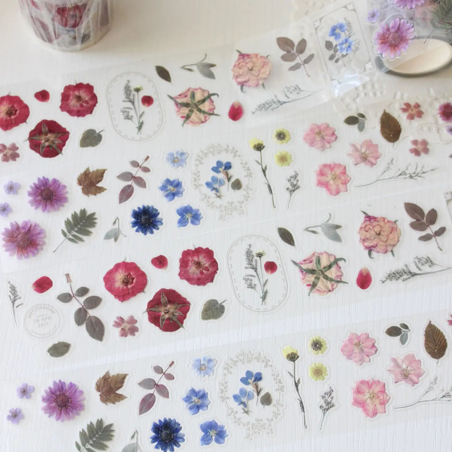This pressed flower PET tape is designed for journalers, botanical enthusiasts, and stationery lovers drawn to the delicate beauty of real pressed florals. Featuring scanned camellias, delphiniums, blue cardinals, and plum blossoms, each flower is pre-cut and ready to peel.

Extra wide at 50mm with a shiny finish that layers beautifully over any journal page, envelope, or scrapbook layout.

Size: 50mm x 10m