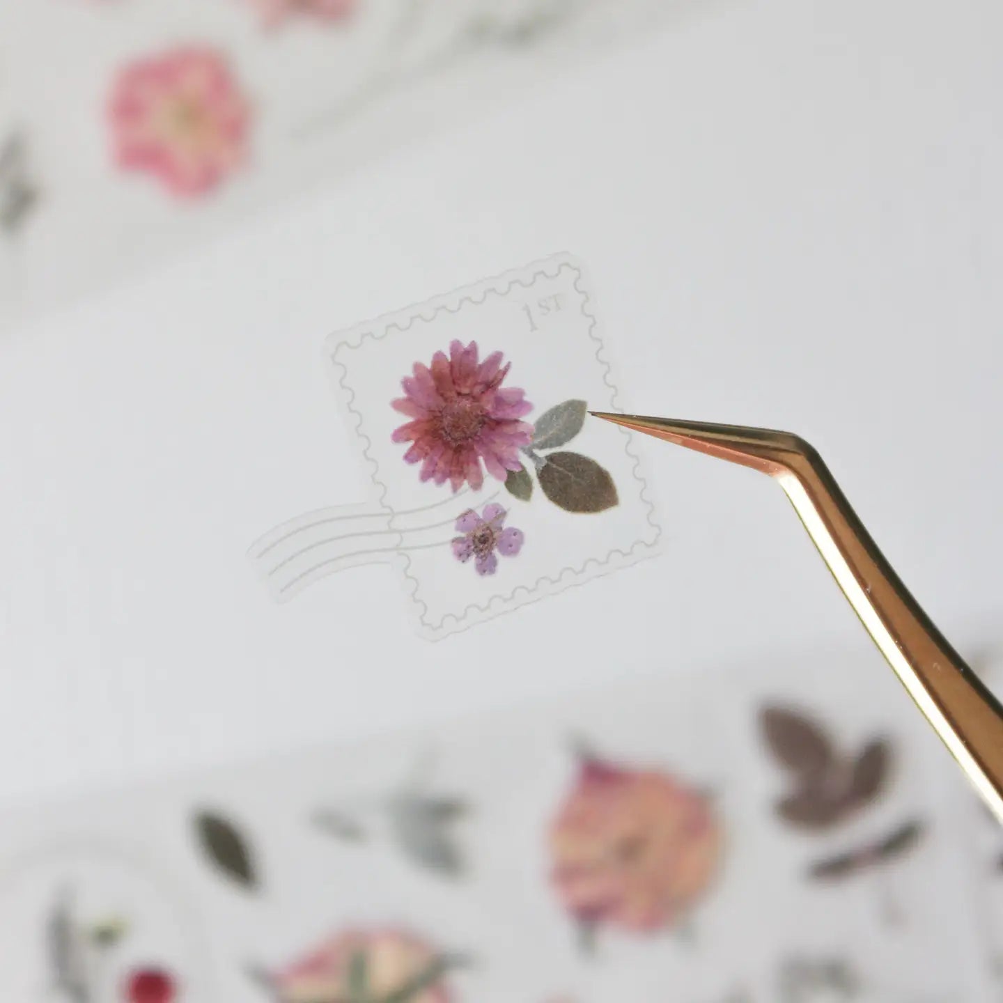 This pressed flower PET tape is designed for journalers, botanical enthusiasts, and stationery lovers drawn to the delicate beauty of real pressed florals. Featuring scanned camellias, delphiniums, blue cardinals, and plum blossoms, each flower is pre-cut and ready to peel.

Extra wide at 50mm with a shiny finish that layers beautifully over any journal page, envelope, or scrapbook layout.

Size: 50mm x 10m