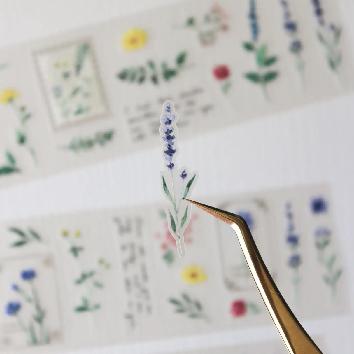 An updated version of our Wildflower PET tape, now with a longer 50cm designer loop for even more creative possibilities.

This wildflower PET tape is designed for journalers, collagers and stationery lovers who want to bring the beauty of the British countryside into their creative projects. Featuring hand-painted watercolour flowers by Rebecca, each illustration is pre-cut and ready to peel - no scissors needed.

Extra wide at 50mm with a matt transparent finish that layers beautifully over any journal pa