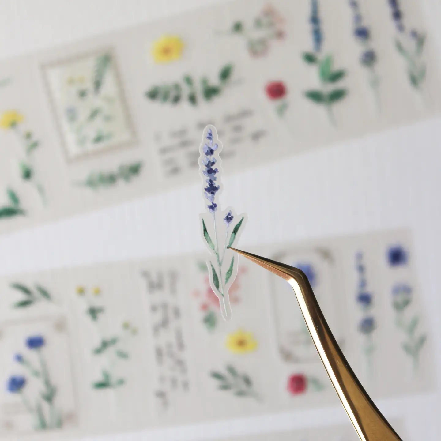 An updated version of our Wildflower PET tape, now with a longer 50cm designer loop for even more creative possibilities.

This wildflower PET tape is designed for journalers, collagers and stationery lovers who want to bring the beauty of the British countryside into their creative projects. Featuring hand-painted watercolour flowers by Rebecca, each illustration is pre-cut and ready to peel - no scissors needed.

Extra wide at 50mm with a matt transparent finish that layers beautifully over any journal pa