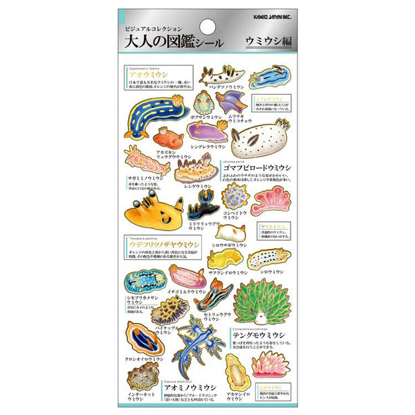 Adult's Illustrated Book Nudibranch Sticker