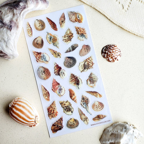 Numbered Seashells Sticker Sheet