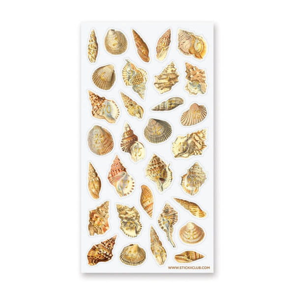 Numbered Seashells Sticker Sheet