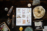 OURS Studio Desk of Botanist Stamp Style Sticker