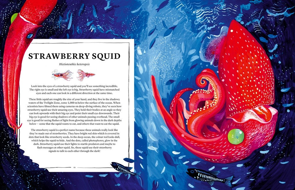 Oceanopedia: An Encyclopedia of Marine Creatures

Discover an incredible world hidden beneath the waves with this beautiful encyclopedia of our oceans and the animals that live in and around them.