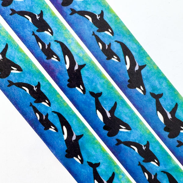 Orca Killer Whale Washi Tape