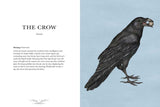 Ornithography By Jessica Roux