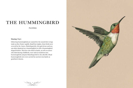 Ornithography By Jessica Roux