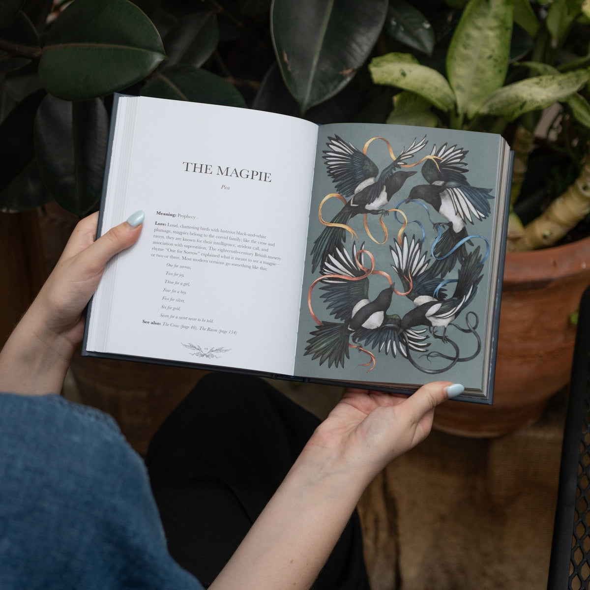 Jessica Roux Author Ornithography By Jessica Roux – Little Craft Place