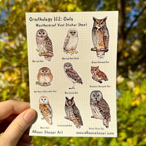 Ornithology 102: Owls Vinyl Sticker Sheet
