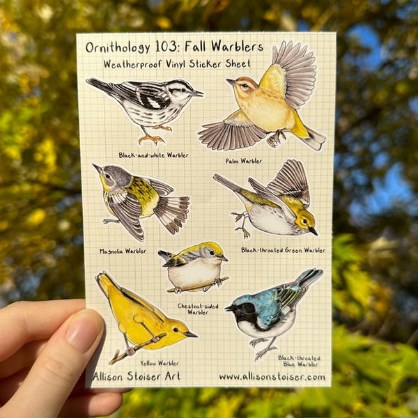 Ornithology 103: Fall Warblers Weatherproof Vinyl Sticker Sheet