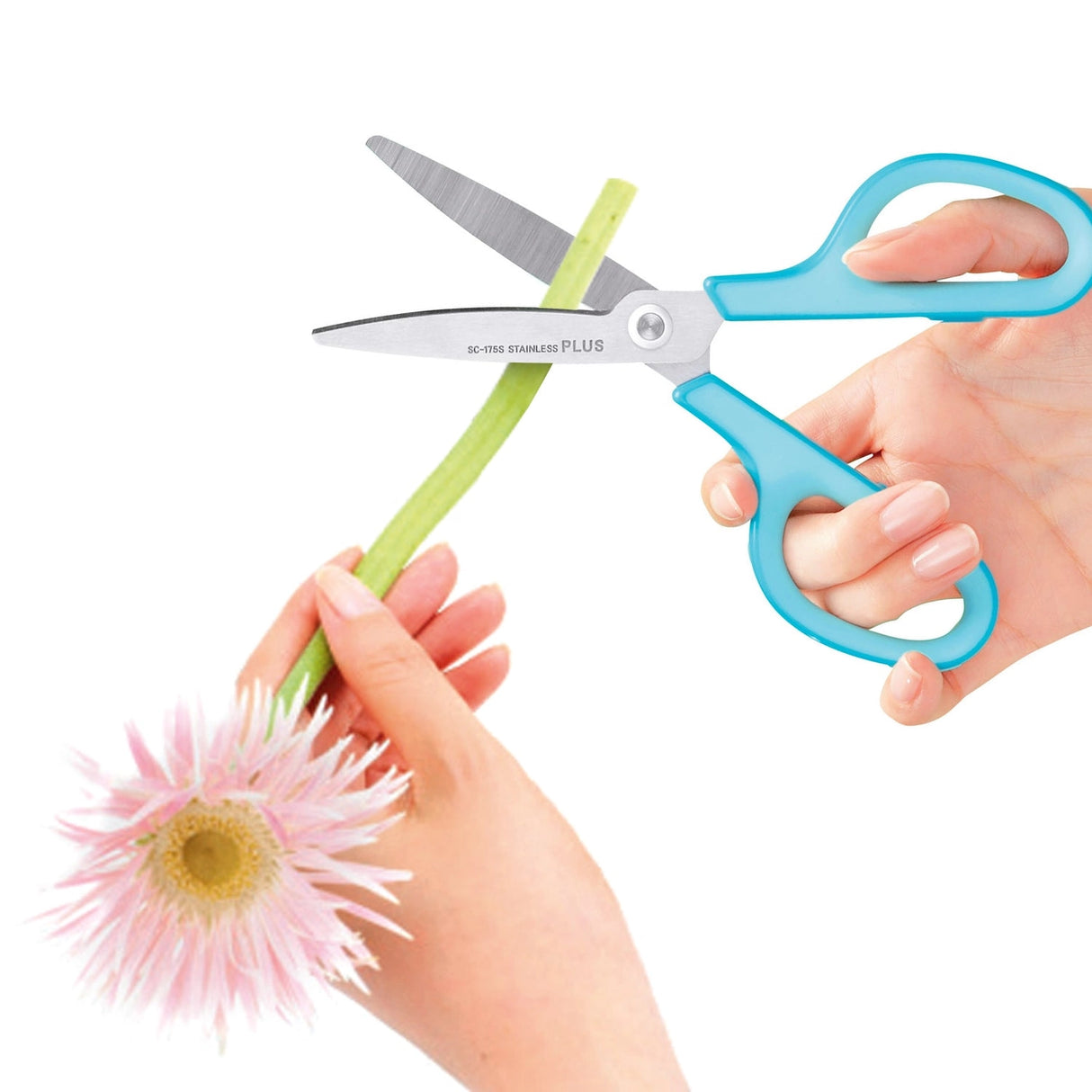• Revolutionary curved blades offer 2x the cutting force of straight edge scissors.
• Unique curved blades continuously cut at the ideal angle of 30 degrees.
• Effortless cutting from the pivot point to the scissor tip.
• Double layered grips for maximum comfort.
• Smooth and durable pivot ring.
• Stainless steel blades.
• Available in multiple sizes and colors.
Scissor Length: 7 in