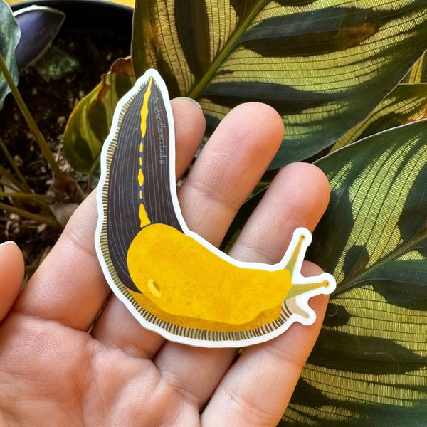Pacific Banana Slug Sticker
