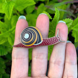 Pacific Sideband Snail Pin