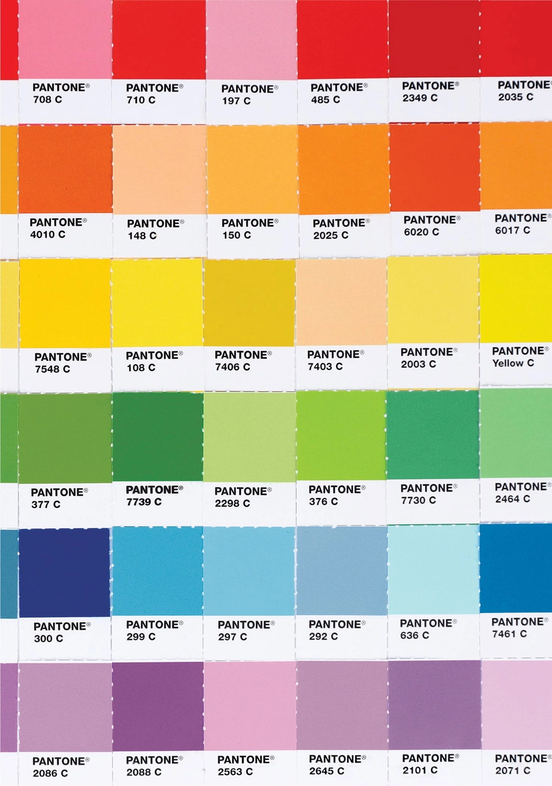 Featuring a bright rainbow gradient of iconic Pantone color chips on the front and back covers, along with a dot grid interior, this inspiring 192-page journal is perfect for note-taking, bullet journaling, sketching, and more.