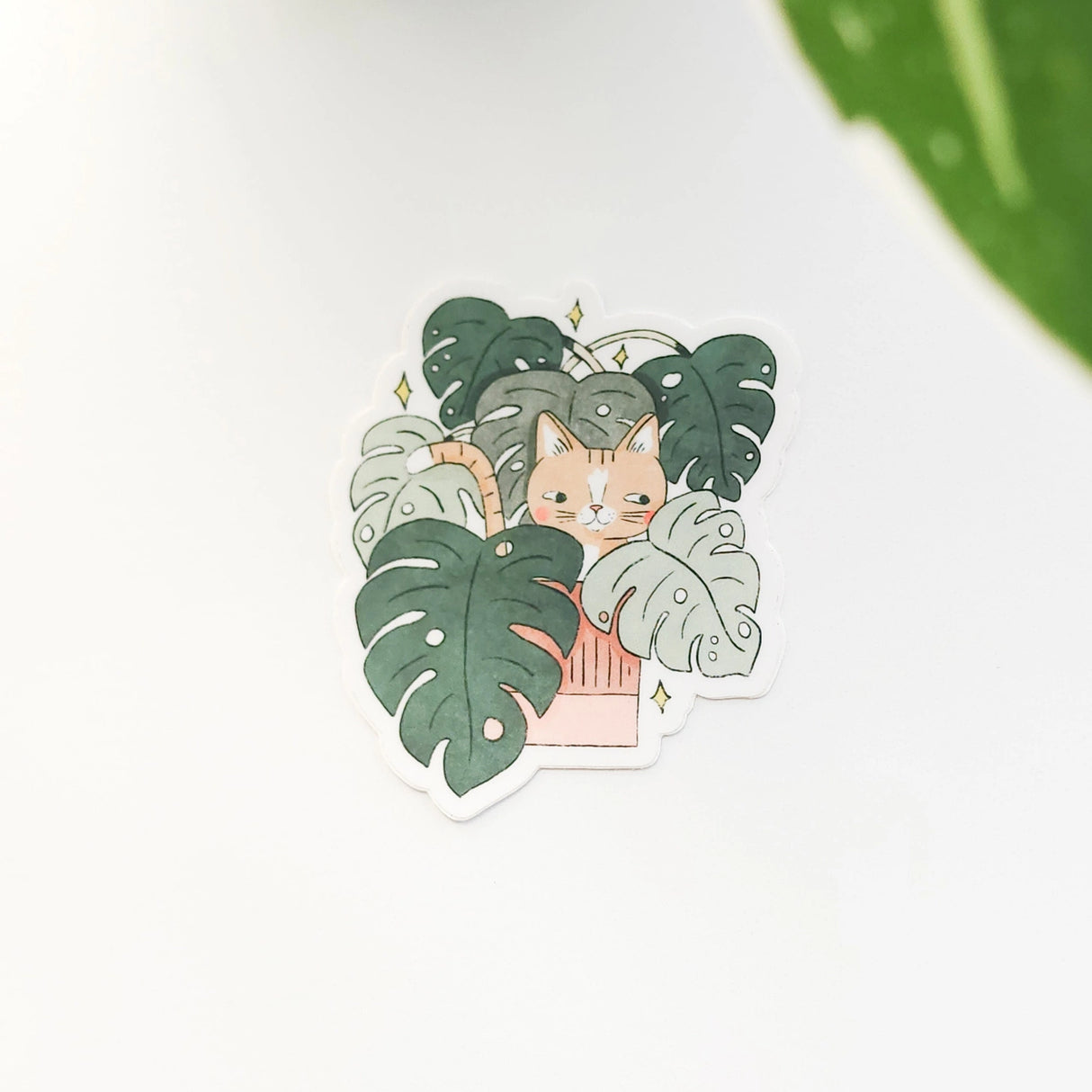 A curious cat settles among lush monstera leaves, tucked into the calm greenery of a Wildflower Woods cottage. This vinyl sticker captures that cozy, plant-filled moment, bringing a touch of quiet charm to your everyday essentials.

Made from durable, waterproof vinyl, this sticker is designed to hold up wherever you place it—whether that’s a water bottle, laptop, or journal you reach for daily.