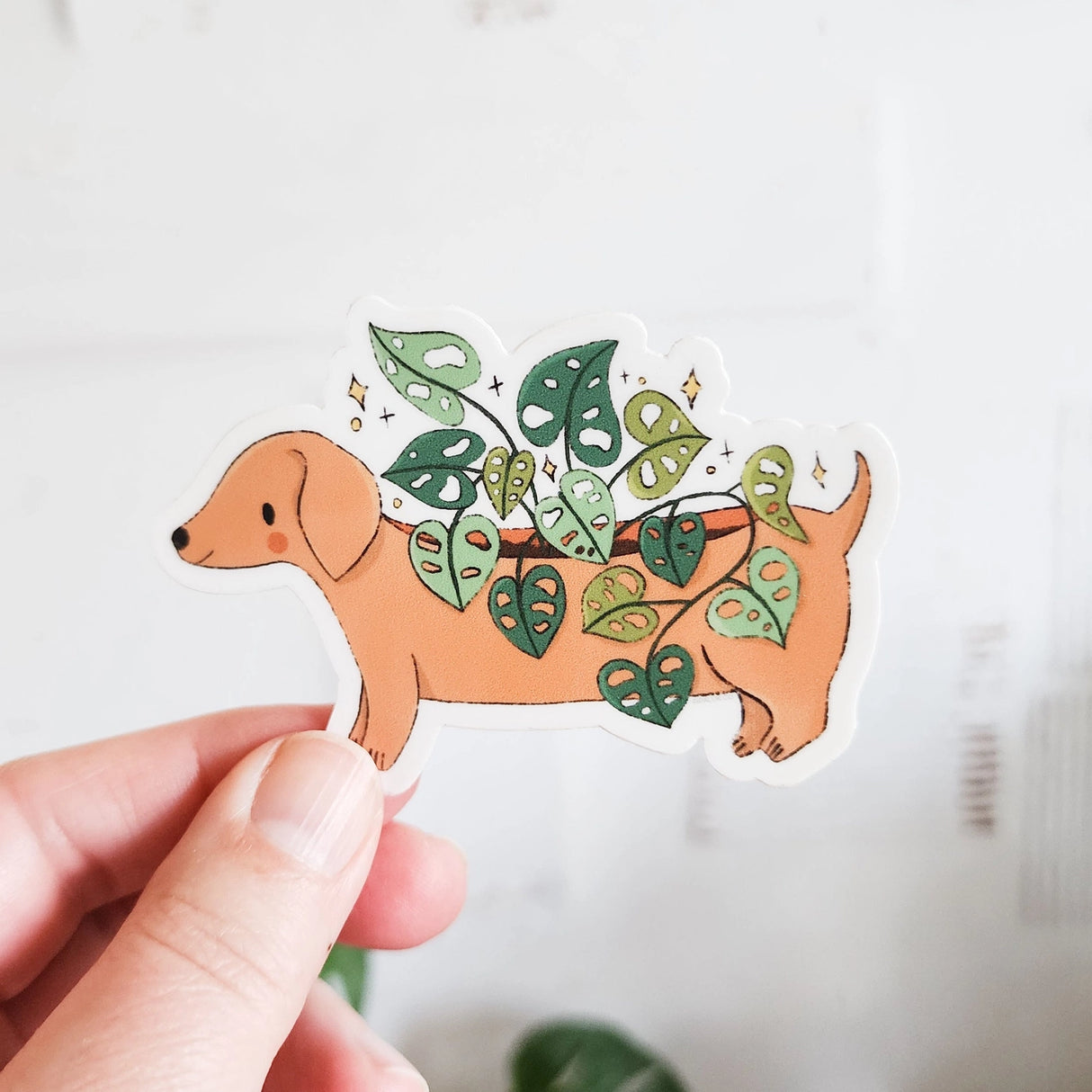Pipaluk Vinyl Sticker
