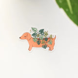 A charming dachshund planter rests among leafy greenery, a thriving cheese plant growing from its back like a small piece of playful décor. This vinyl sticker captures that cozy, plant-filled still life, adding a touch of warmth and whimsy to your everyday essentials.

Made from durable, waterproof vinyl, this sticker is designed to hold up wherever you place it—whether that’s a water bottle, laptop, or journal you reach for daily.
