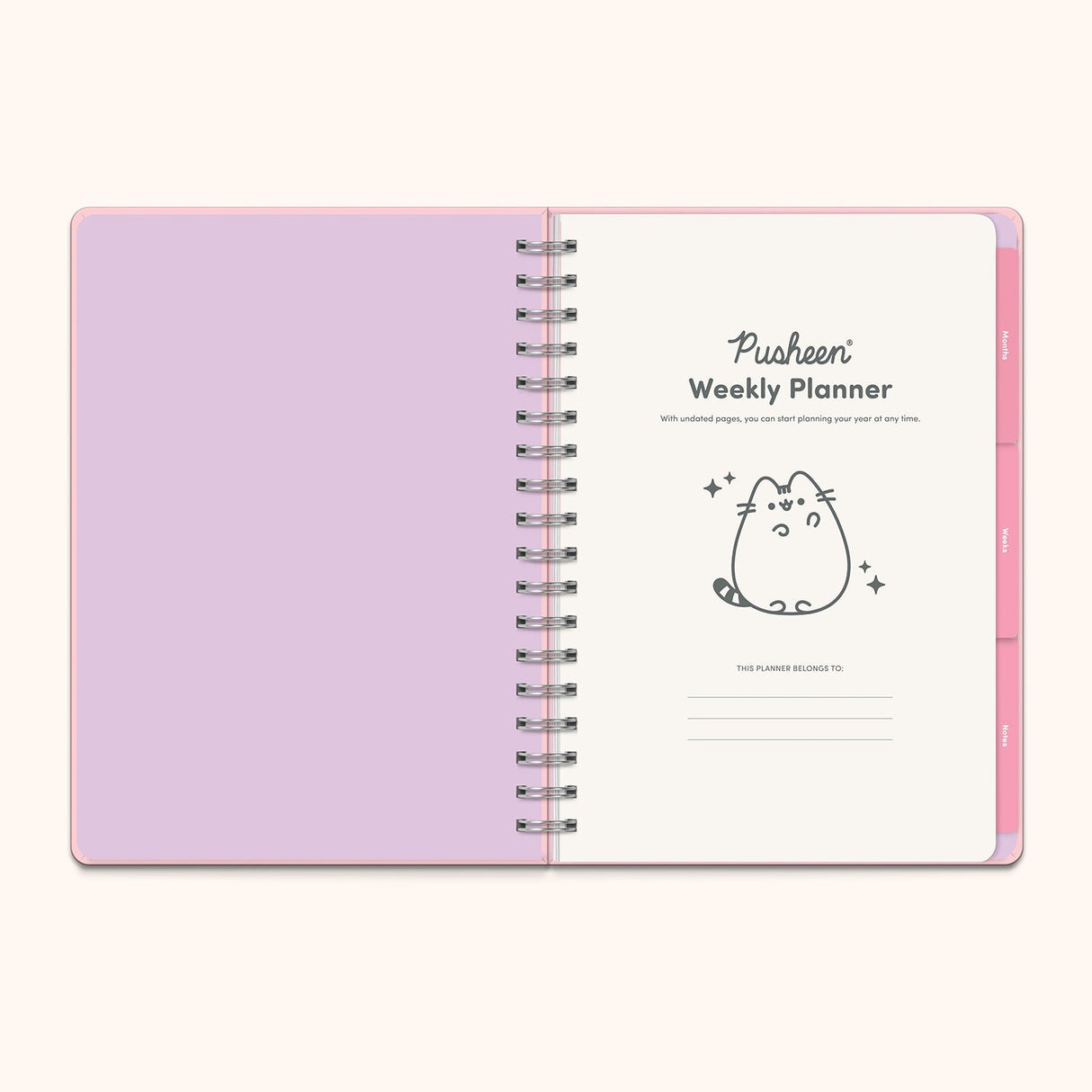 Pusheen Sparkles Undated Tri-Tab Planner