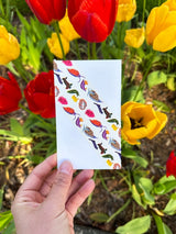 Rainbow Sea Slugs Washi Tape