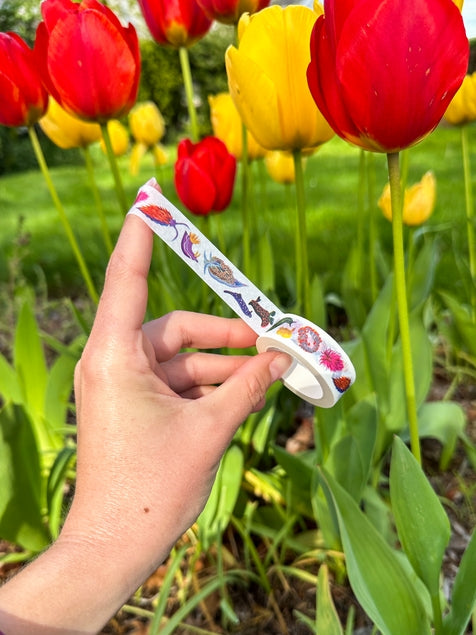 Rainbow Sea Slugs Washi Tape