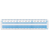 Raymay Easy to See Grid Ruler - 15 cm
