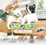 This is the newest addition to the popular "Futchiyasumi" series. Puppies of various breeds are using "Fuchiyasumi" to have a good night's sleep.... Their cute puppy-like pose is very cute!